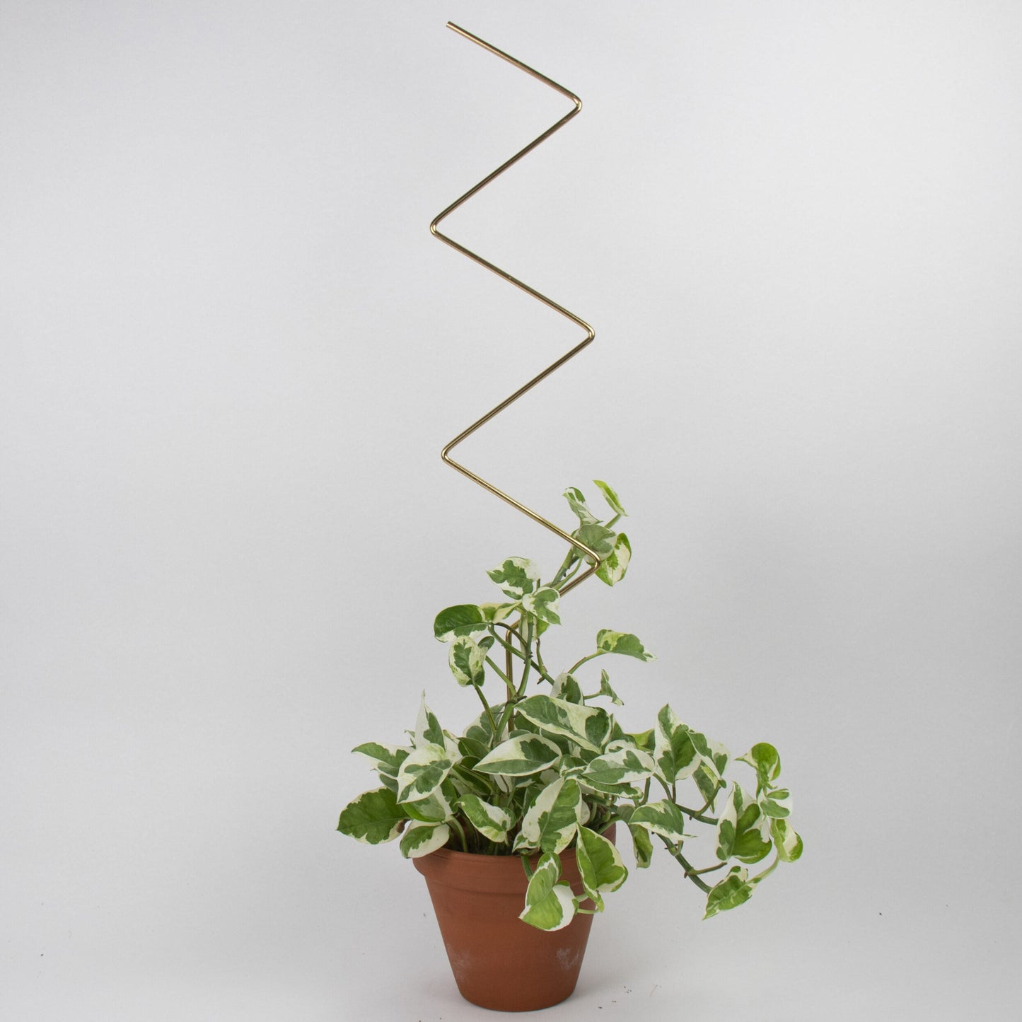 Tuteur doré ZigZag